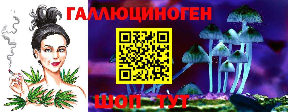 наркота  Галлюциногенные грибы GOLDEN TEACHER  Вход с VPN  Псилоцибиновые грибы MAGIC MUSHROOMS  Петровск 
